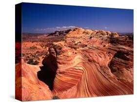 Sandstone Erosion of the Colorado National Monument, Colorado National Monument, USA-Mark Newman-Stretched Canvas