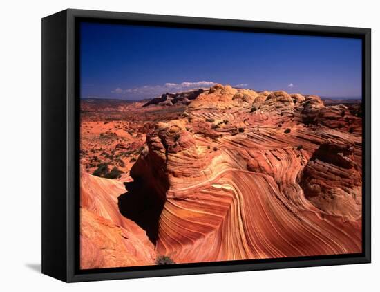 Sandstone Erosion of the Colorado National Monument, Colorado National Monument, USA-Mark Newman-Framed Stretched Canvas