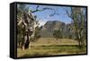 Sandstone Escarpment Above Wilpuna Valley, Flinders Ranges National Park, South Australia-Tony Waltham-Framed Stretched Canvas