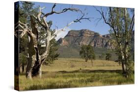 Sandstone Escarpment Above Wilpuna Valley, Flinders Ranges National Park, South Australia-Tony Waltham-Stretched Canvas