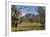 Sandstone Escarpment Above Wilpuna Valley, Flinders Ranges National Park, South Australia-Tony Waltham-Framed Photographic Print