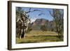 Sandstone Escarpment Above Wilpuna Valley, Flinders Ranges National Park, South Australia-Tony Waltham-Framed Photographic Print