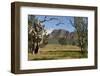 Sandstone Escarpment Above Wilpuna Valley, Flinders Ranges National Park, South Australia-Tony Waltham-Framed Photographic Print