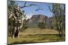 Sandstone Escarpment Above Wilpuna Valley, Flinders Ranges National Park, South Australia-Tony Waltham-Mounted Photographic Print