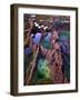 Sandstone Fins and Algae Filled Pools, Pirates Cove, Corrie, Arran-Richard Childs Photography-Framed Photographic Print