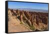 Sandstone Fins-Gary Cook-Framed Stretched Canvas