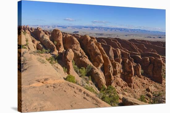 Sandstone Fins-Gary Cook-Stretched Canvas