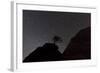 Sandstone Formation at Night in Zion National Park, Utah, USA-Chuck Haney-Framed Photographic Print
