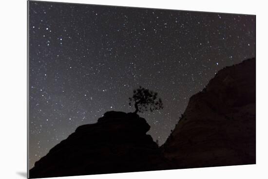 Sandstone Formation at Night in Zion National Park, Utah, USA-Chuck Haney-Mounted Photographic Print
