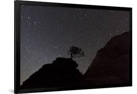 Sandstone Formation at Night in Zion National Park, Utah, USA-Chuck Haney-Framed Photographic Print