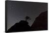 Sandstone Formation at Night in Zion National Park, Utah, USA-Chuck Haney-Framed Stretched Canvas