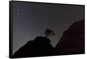 Sandstone Formation at Night in Zion National Park, Utah, USA-Chuck Haney-Framed Stretched Canvas