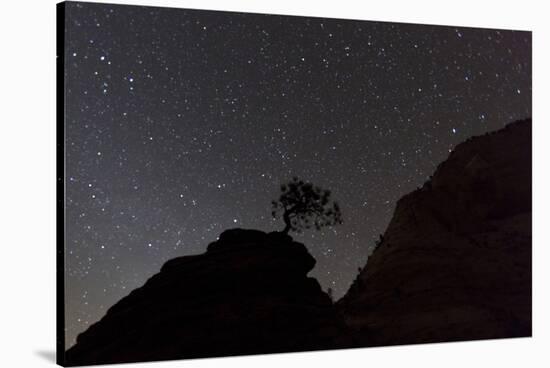 Sandstone Formation at Night in Zion National Park, Utah, USA-Chuck Haney-Stretched Canvas