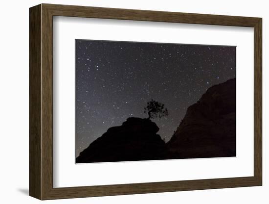 Sandstone Formation at Night in Zion National Park, Utah, USA-Chuck Haney-Framed Photographic Print