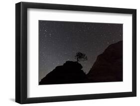 Sandstone Formation at Night in Zion National Park, Utah, USA-Chuck Haney-Framed Photographic Print