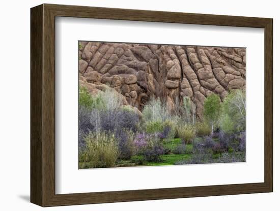Sandstone formations in Dades Gorges, Morocco-Art Wolfe-Framed Photographic Print