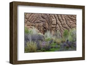 Sandstone formations in Dades Gorges, Morocco-Art Wolfe-Framed Photographic Print