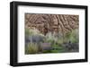 Sandstone formations in Dades Gorges, Morocco-Art Wolfe-Framed Photographic Print