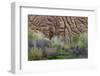 Sandstone formations in Dades Gorges, Morocco-Art Wolfe-Framed Photographic Print