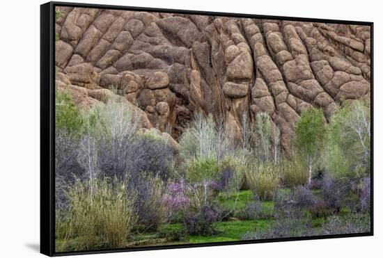 Sandstone formations in Dades Gorges, Morocco-Art Wolfe-Framed Stretched Canvas