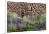 Sandstone formations in Dades Gorges, Morocco-Art Wolfe-Framed Photographic Print