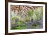 Sandstone formations in Dades Gorges, Morocco-Art Wolfe-Framed Photographic Print