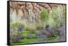 Sandstone formations in Dades Gorges, Morocco-Art Wolfe-Framed Stretched Canvas