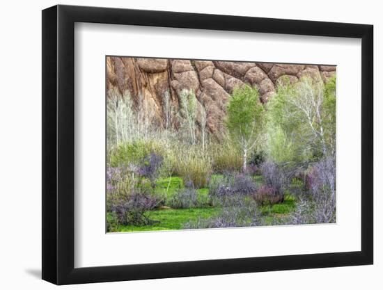 Sandstone formations in Dades Gorges, Morocco-Art Wolfe-Framed Photographic Print