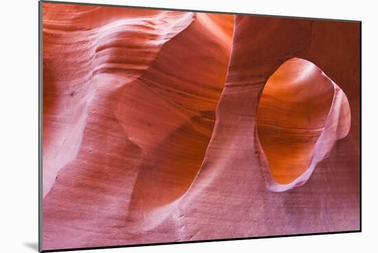 Sandstone formations in Peek-a-boo Gulch, Grand Staircase-Escalante National Monument, Utah, USA-Russ Bishop-Mounted Photographic Print