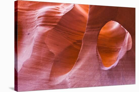 Sandstone formations in Peek-a-boo Gulch, Grand Staircase-Escalante National Monument, Utah, USA-Russ Bishop-Stretched Canvas