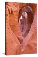 Sandstone formations in Peek-a-boo Gulch, Grand Staircase-Escalante National Monument, Utah, USA-Russ Bishop-Stretched Canvas