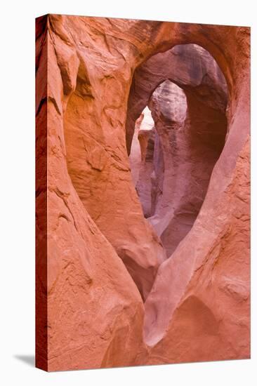Sandstone formations in Peek-a-boo Gulch, Grand Staircase-Escalante National Monument, Utah, USA-Russ Bishop-Stretched Canvas