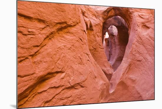 Sandstone formations in Peek-a-boo Gulch, Grand Staircase-Escalante National Monument, Utah, USA-Russ Bishop-Mounted Photographic Print