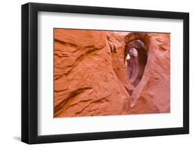 Sandstone formations in Peek-a-boo Gulch, Grand Staircase-Escalante National Monument, Utah, USA-Russ Bishop-Framed Photographic Print