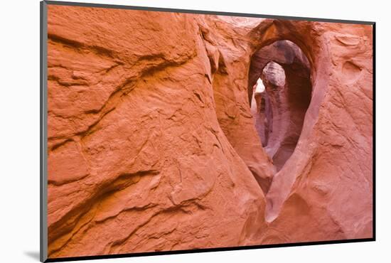 Sandstone formations in Peek-a-boo Gulch, Grand Staircase-Escalante National Monument, Utah, USA-Russ Bishop-Mounted Photographic Print