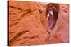 Sandstone formations in Peek-a-boo Gulch, Grand Staircase-Escalante National Monument, Utah, USA-Russ Bishop-Stretched Canvas