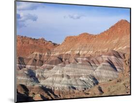 Sandstone Formations Near Paria Canyon, Utah, USA-David Welling-Mounted Premium Photographic Print