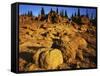 Sandstone formations on Manatash Ridge, Wenatchee National Forest, Washington, USA-Charles Gurche-Framed Stretched Canvas