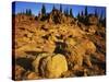 Sandstone formations on Manatash Ridge, Wenatchee National Forest, Washington, USA-Charles Gurche-Stretched Canvas