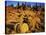 Sandstone formations on Manatash Ridge, Wenatchee National Forest, Washington, USA-Charles Gurche-Stretched Canvas