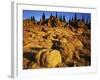 Sandstone formations on Manatash Ridge, Wenatchee National Forest, Washington, USA-Charles Gurche-Framed Photographic Print