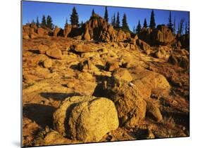 Sandstone formations on Manatash Ridge, Wenatchee National Forest, Washington, USA-Charles Gurche-Mounted Photographic Print