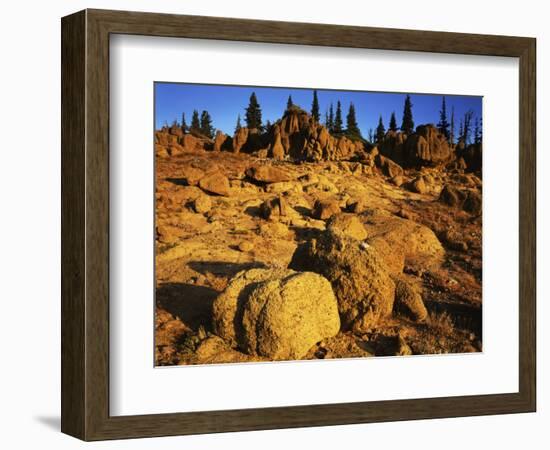 Sandstone formations on Manatash Ridge, Wenatchee National Forest, Washington, USA-Charles Gurche-Framed Photographic Print