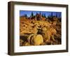 Sandstone formations on Manatash Ridge, Wenatchee National Forest, Washington, USA-Charles Gurche-Framed Photographic Print