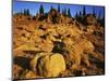 Sandstone formations on Manatash Ridge, Wenatchee National Forest, Washington, USA-Charles Gurche-Mounted Photographic Print