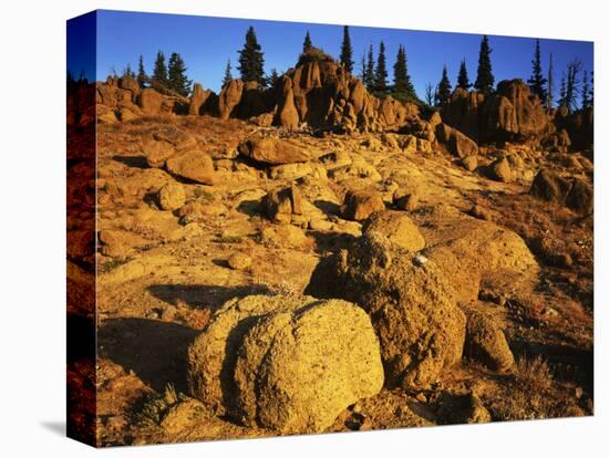 Sandstone formations on Manatash Ridge, Wenatchee National Forest, Washington, USA-Charles Gurche-Stretched Canvas