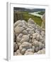 Sandstone Formations on the Banks of the Missouri-Layne Kennedy-Framed Photographic Print