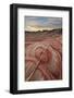 Sandstone Forms at Dawn, Valley of Fire State Park, Nevada, United States of America, North America-James Hager-Framed Photographic Print