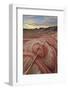 Sandstone Forms at Dawn, Valley of Fire State Park, Nevada, United States of America, North America-James Hager-Framed Photographic Print