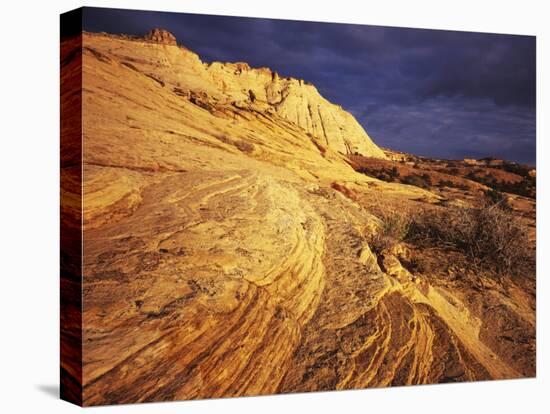 Sandstone, Grand Staircase-Escalante National Monument, Utah, USA-Charles Gurche-Stretched Canvas